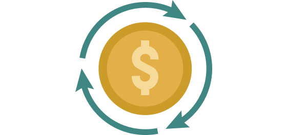 Dividend Reinvestment Option